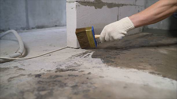 Top rated local Wet Basement Repair specialists in Sterrett, AL